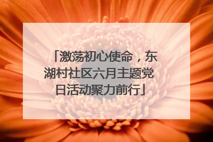 激荡初心使命，东湖村社区六月主题党日活动聚力前行