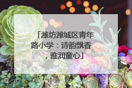 潍坊潍城区青年路小学：诗韵飘香，雅润童心