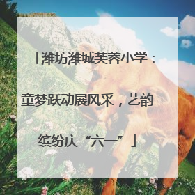 潍坊潍城芙蓉小学：童梦跃动展风采，艺韵缤纷庆“六一”