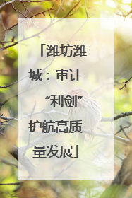 潍坊潍城：审计“利剑”护航高质量发展