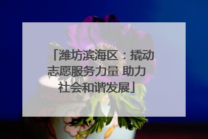 潍坊滨海区：撬动志愿服务力量 助力社会和谐发展