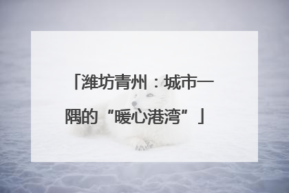 潍坊青州：城市一隅的“暖心港湾”