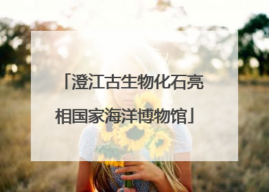 澄江古生物化石亮相国家海洋博物馆