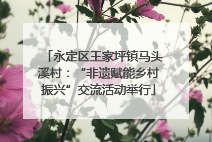 永定区王家坪镇马头溪村：“非遗赋能乡村振兴”交流活动举行