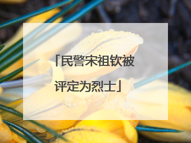 民警宋祖钦被评定为烈士