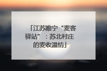 江苏睢宁“麦客驿站”：苏北村庄的麦收温情