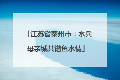 江苏省泰州市：水兵母亲城共谱鱼水情