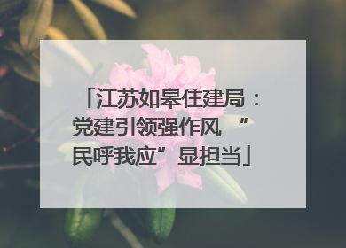 江苏如皋住建局：党建引领强作风 “民呼我应”显担当