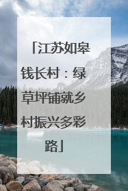 江苏如皋钱长村：绿草坪铺就乡村振兴多彩路
