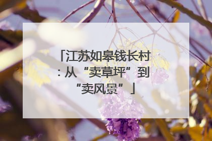 江苏如皋钱长村：从“卖草坪”到“卖风景”