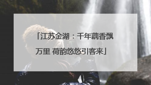 江苏金湖：千年藕香飘万里 荷韵悠悠引客来