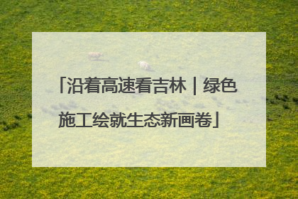沿着高速看吉林｜绿色施工绘就生态新画卷