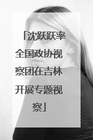 沈跃跃率全国政协视察团在吉林开展专题视察