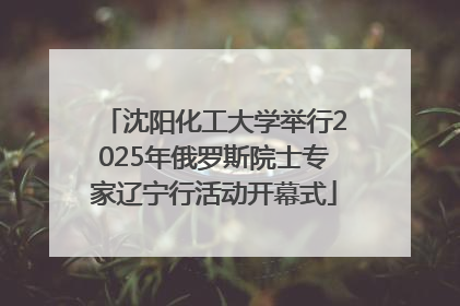 沈阳化工大学举行2025年俄罗斯院士专家辽宁行活动开幕式