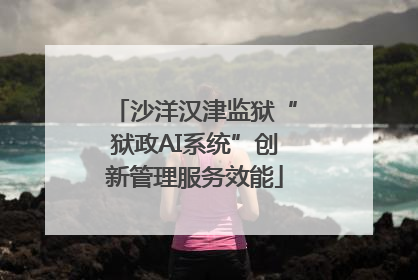 沙洋汉津监狱“狱政AI系统”创新管理服务效能