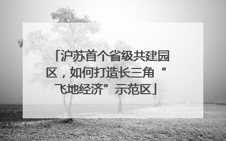 沪苏首个省级共建园区，如何打造长三角“飞地经济”示范区