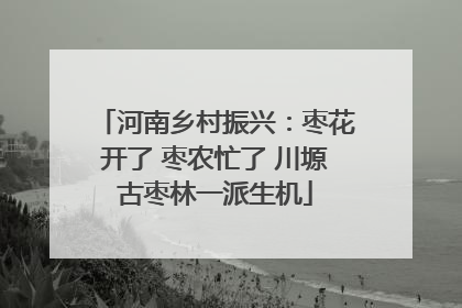 河南乡村振兴：枣花开了 枣农忙了 川塬古枣林一派生机