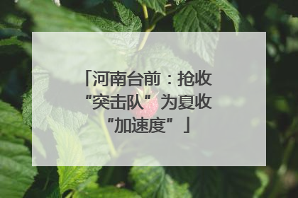 河南台前：抢收“突击队”为夏收“加速度”