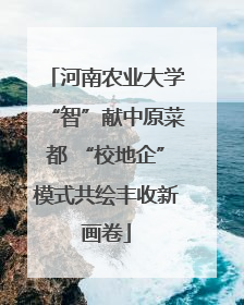河南农业大学“智”献中原菜都 “校地企”模式共绘丰收新画卷