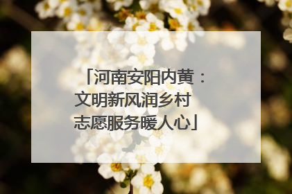 河南安阳内黄：文明新风润乡村 志愿服务暖人心