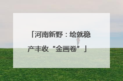 河南新野：绘就稳产丰收“金画卷”