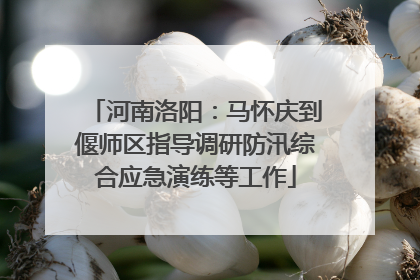河南洛阳：马怀庆到偃师区指导调研防汛综合应急演练等工作