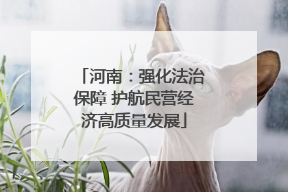河南：强化法治保障 护航民营经济高质量发展