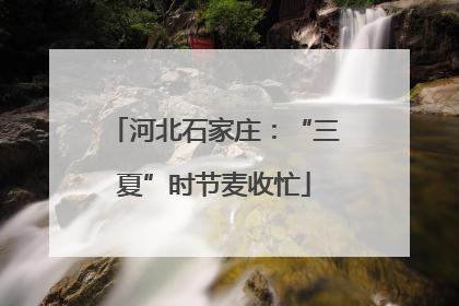 河北石家庄：“三夏”时节麦收忙