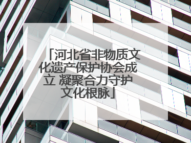 河北省非物质文化遗产保护协会成立 凝聚合力守护文化根脉