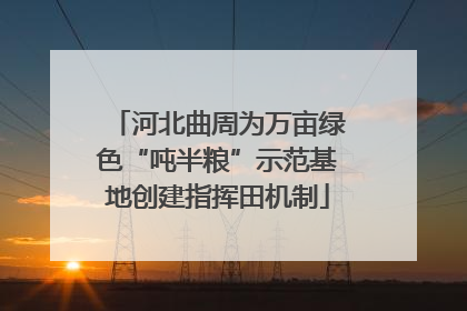 河北曲周为万亩绿色“吨半粮”示范基地创建指挥田机制