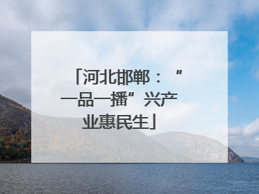 河北邯郸：“一品一播”兴产业惠民生