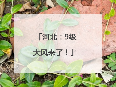 河北：9级大风来了！