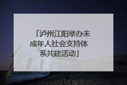 泸州江阳举办未成年人社会支持体系共建活动