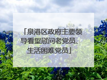 泉港区政府主要领导看望慰问老党员、生活困难党员