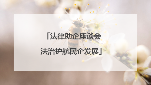 法律助企座谈会 法治护航民企发展