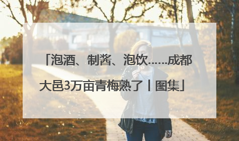泡酒、制酱、泡饮……成都大邑3万亩青梅熟了丨图集