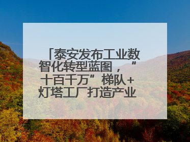 泰安发布工业数智化转型蓝图，“十百千万”梯队+灯塔工厂打造产业新标杆