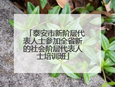 泰安市新阶层代表人士参加全省新的社会阶层代表人士培训班