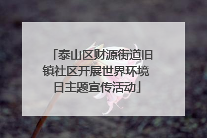 泰山区财源街道旧镇社区开展世界环境日主题宣传活动