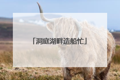 洞庭湖畔造船忙