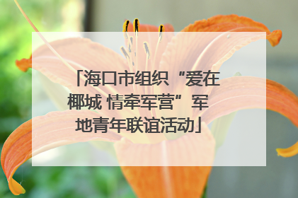 海口市组织“爱在椰城 情牵军营”军地青年联谊活动