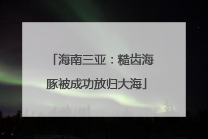 海南三亚：糙齿海豚被成功放归大海