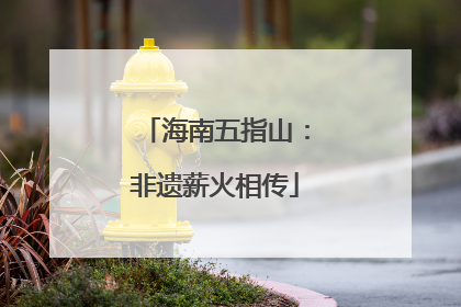 海南五指山：非遗薪火相传