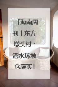 海南周刊丨东方墩头村：港水环墩仓廪实