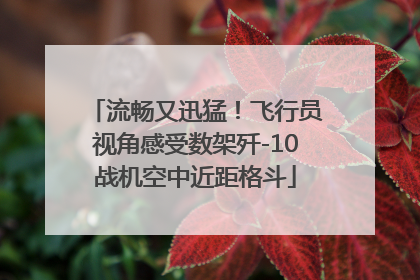 流畅又迅猛！飞行员视角感受数架歼-10战机空中近距格斗