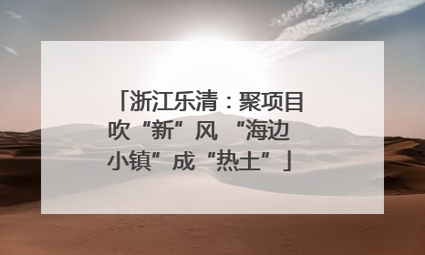浙江乐清：聚项目吹“新”风 “海边小镇”成“热土”