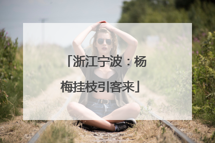浙江宁波：杨梅挂枝引客来