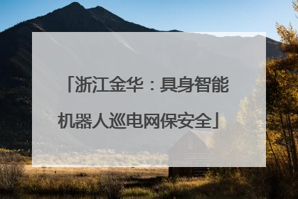 浙江金华：具身智能机器人巡电网保安全