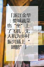 浙江金华：婺城蔬菜也“坐”上了飞机，无人机为乡村振兴插上“翅膀”
