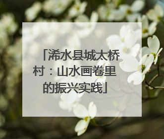 浠水县城太桥村：山水画卷里的振兴实践